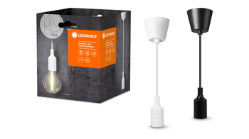 VINTAGE 1906 PENDULUM PLASTER