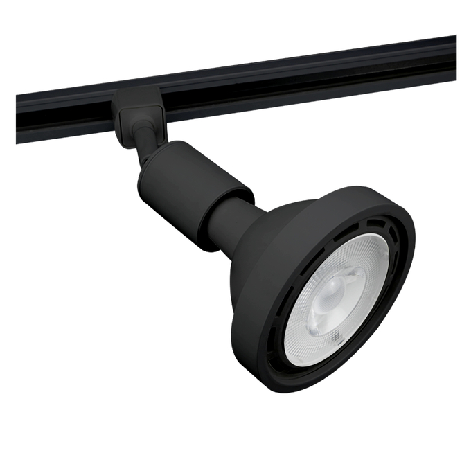 TRACKLIGHT PAR38 BIV