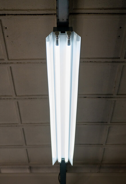 Ledification at sun protection company with led tubes