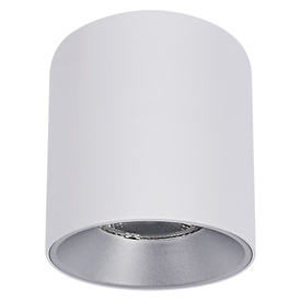 DOWNLIGHT SURFACE